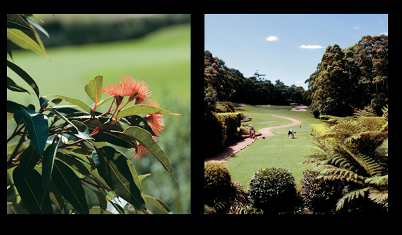 Cromer Golf Club