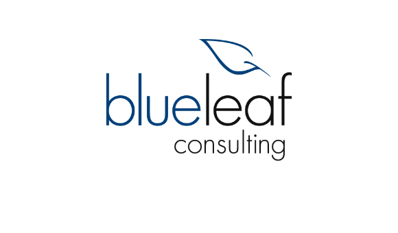 Blueleaf Consulting Brand and Identity