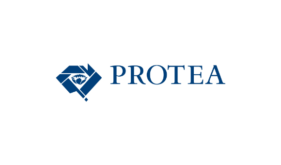 Protea Diamonds Brand and Identity