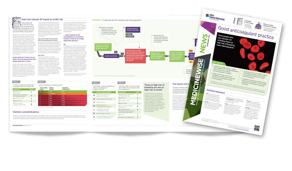 NPS News February 2013