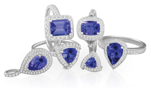 Protea - Tanzanite Collection 2013