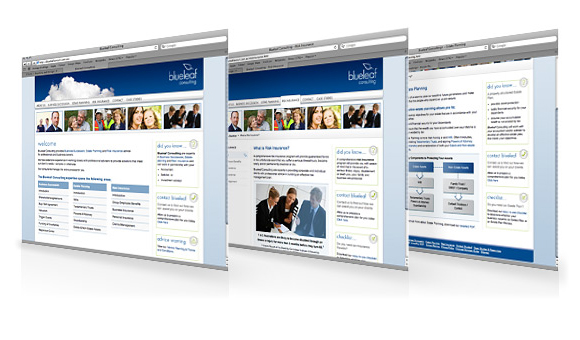 Blueleaf Consulting Website