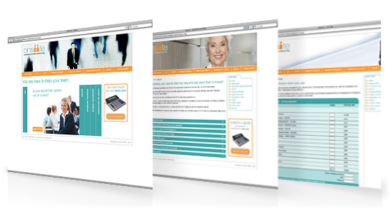 onsiite website design